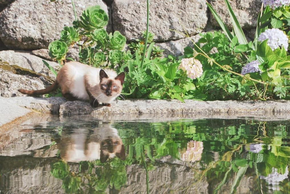 Retiro De Varzeas . Casa De Turismo Rural Vieira do Minho Zewnętrze zdjęcie